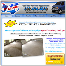 Steam Genie Cleaning